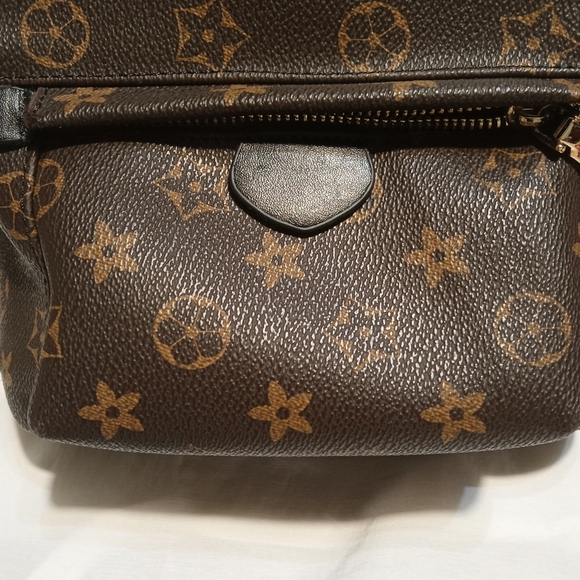 Brown Backpack